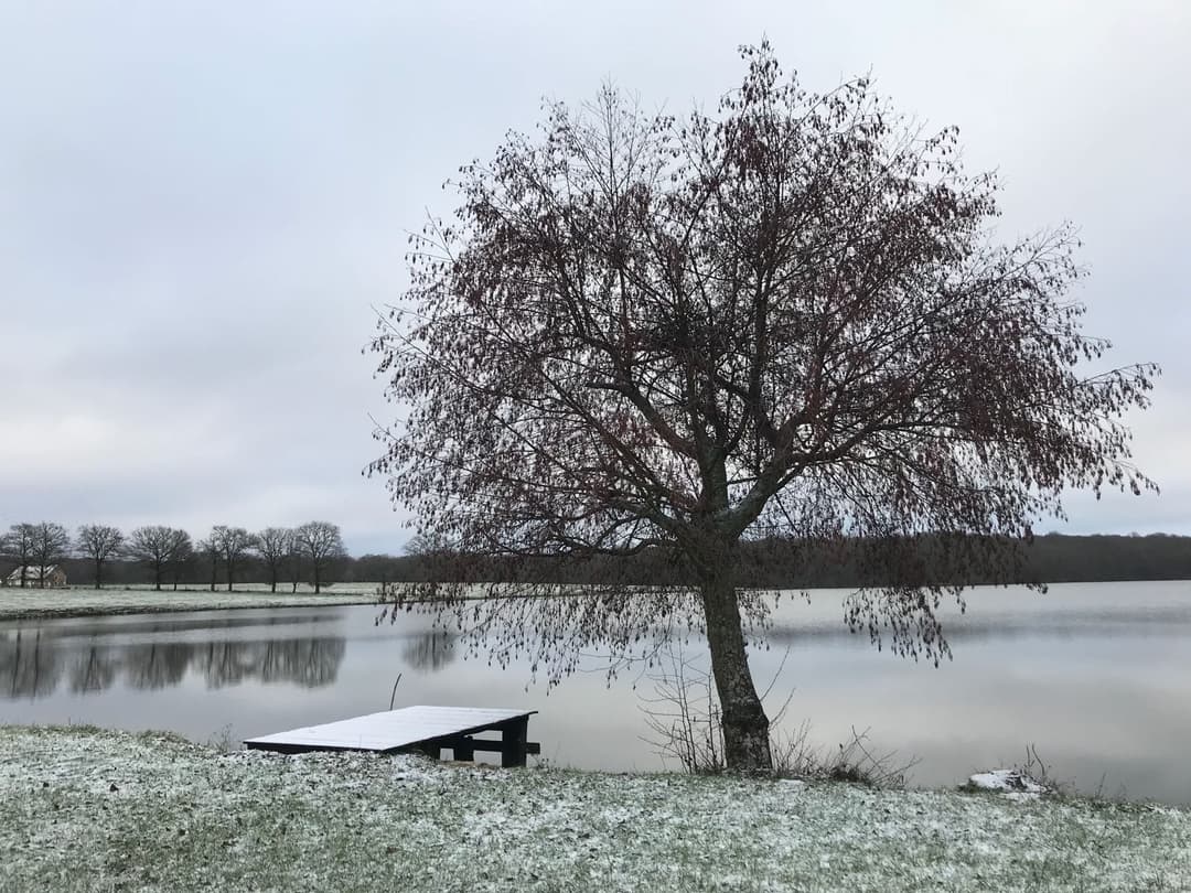 Etang de 16ha &amp; gîte haut de gamme, calme, beauté, sérénité (6 couchages)