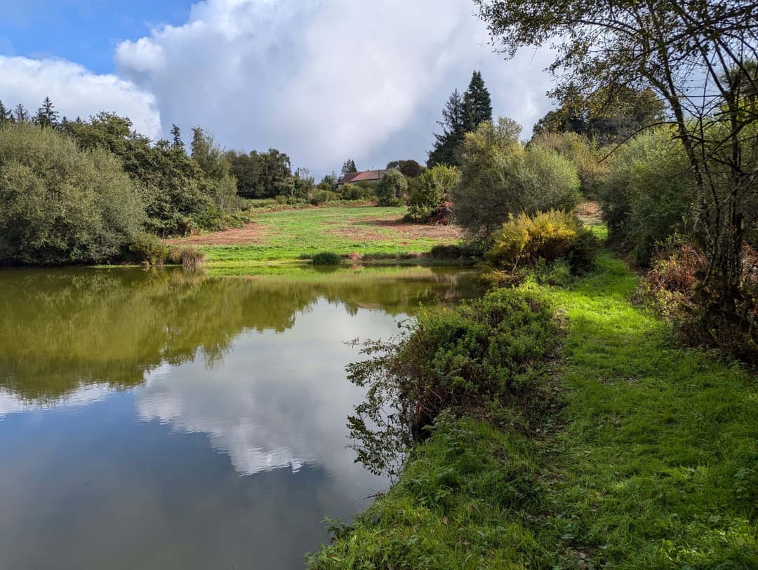 Étang de 1ha à louer dans la creuse 