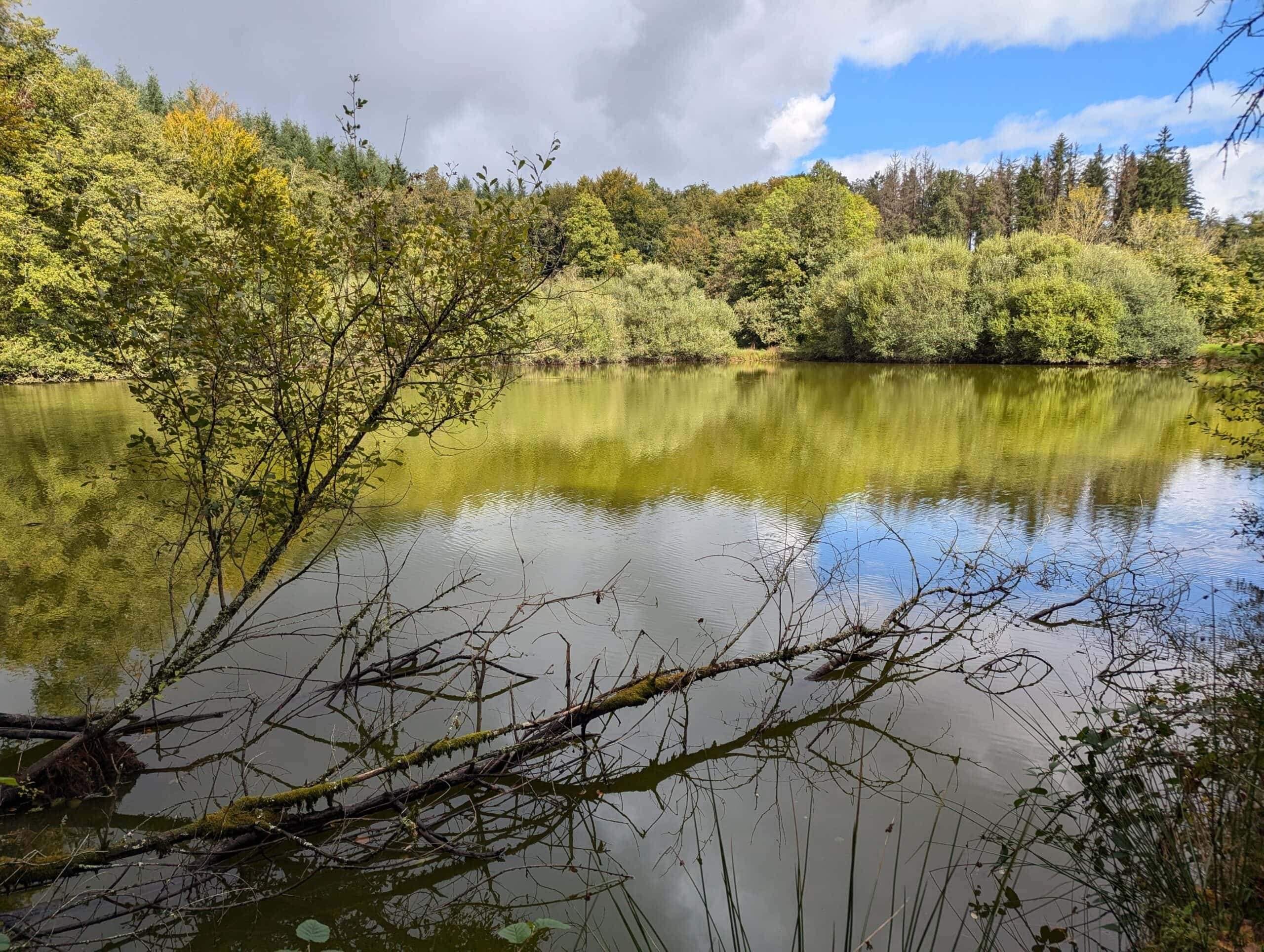 Étang de 1ha à louer dans la creuse 