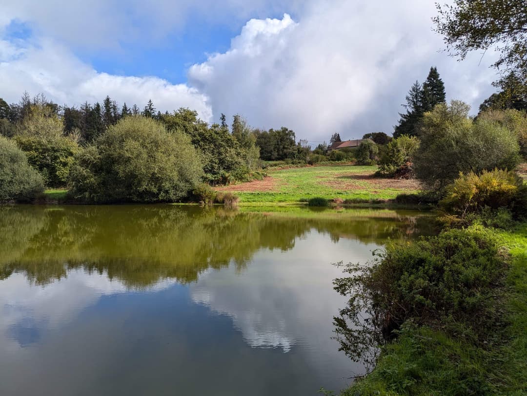 Étang de 1ha à louer dans la creuse 
