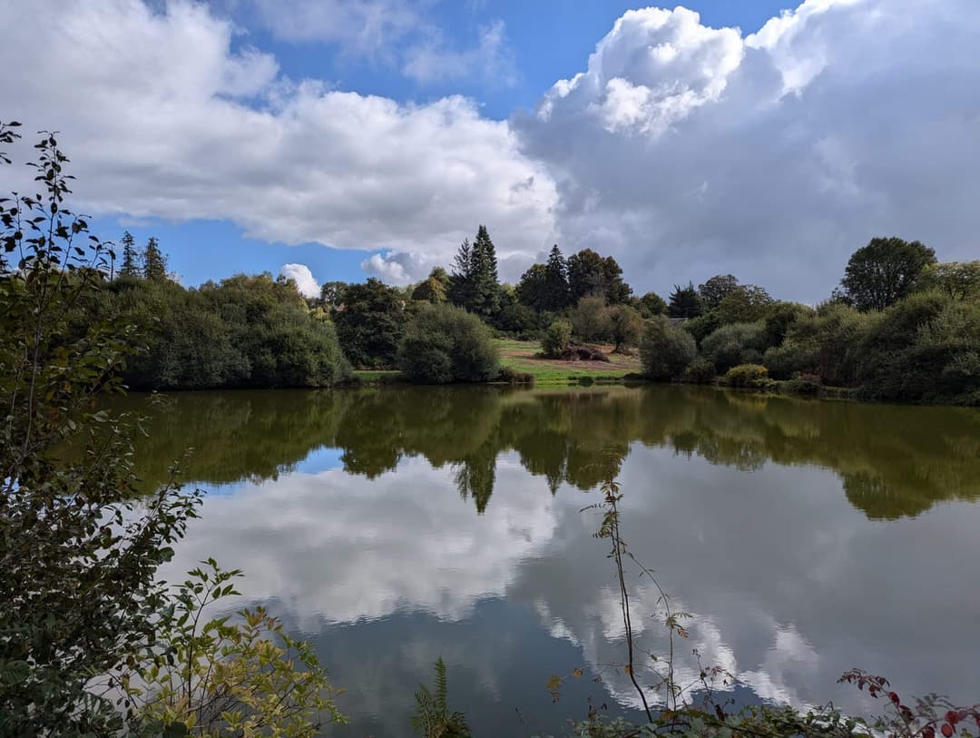 Étang de 1ha à louer dans la creuse 