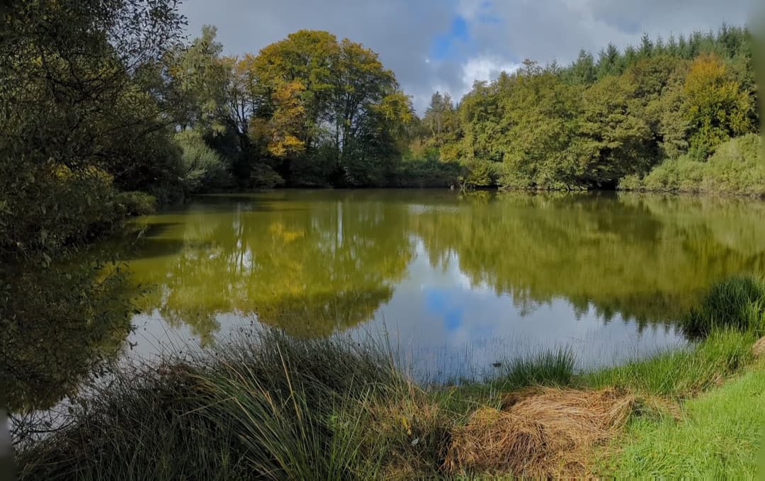 Étang de 1ha à louer dans la creuse 
