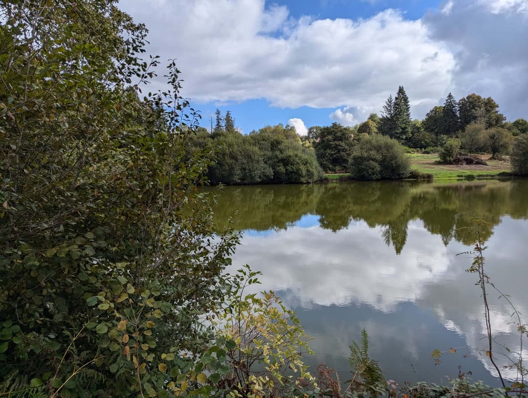 Étang de 1ha à louer dans la creuse 