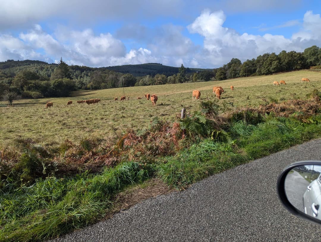 Étang de 1ha à louer dans la creuse 