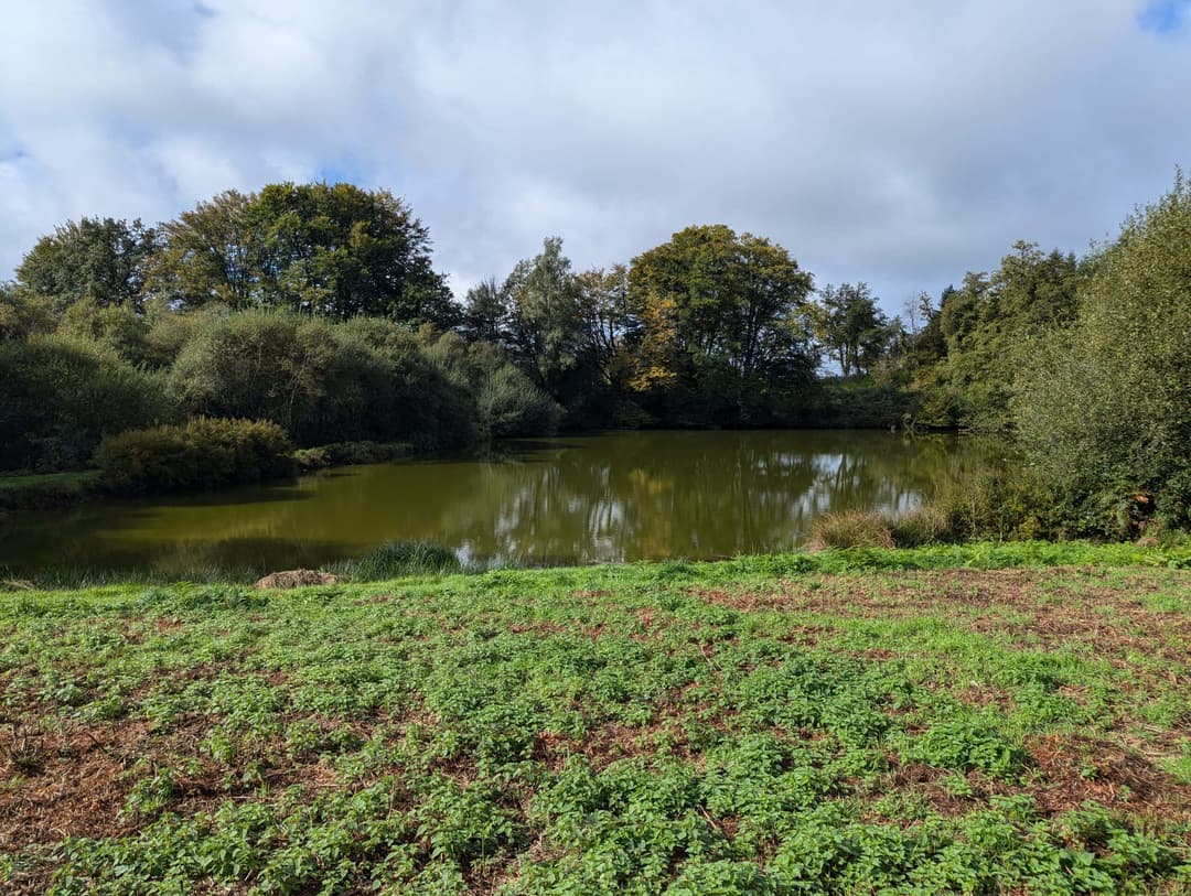 Étang de 1ha à louer dans la creuse 
