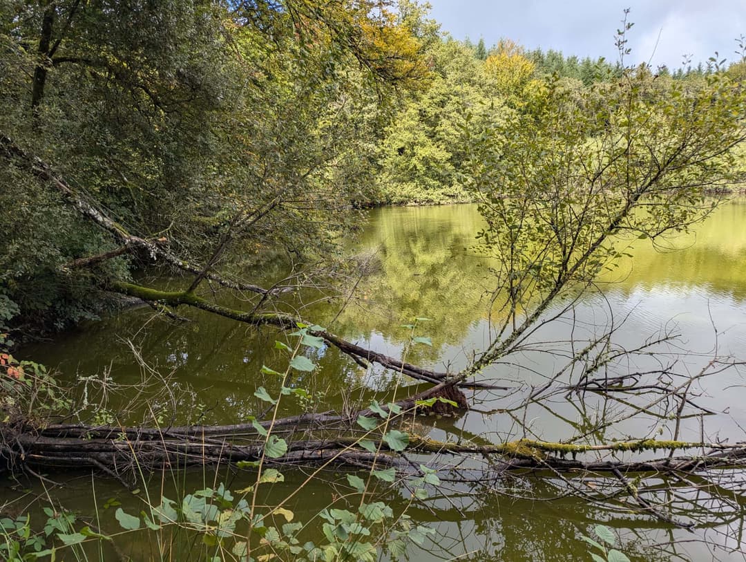 Étang de 1ha à louer dans la creuse 
