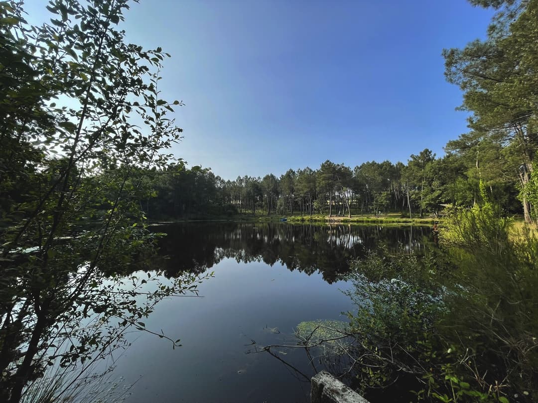 Etang tranquille au cœur d’une forêt de 30 hectares, clos.