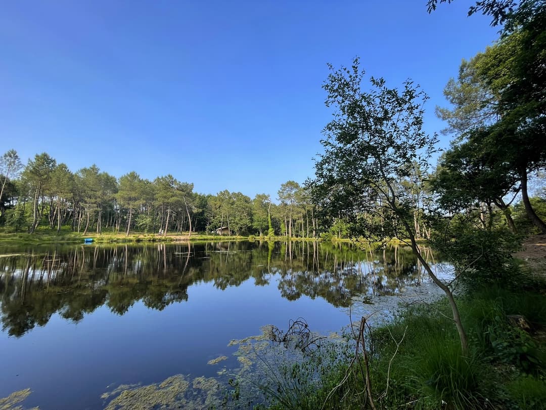 Etang tranquille au cœur d’une forêt de 30 hectares, clos.