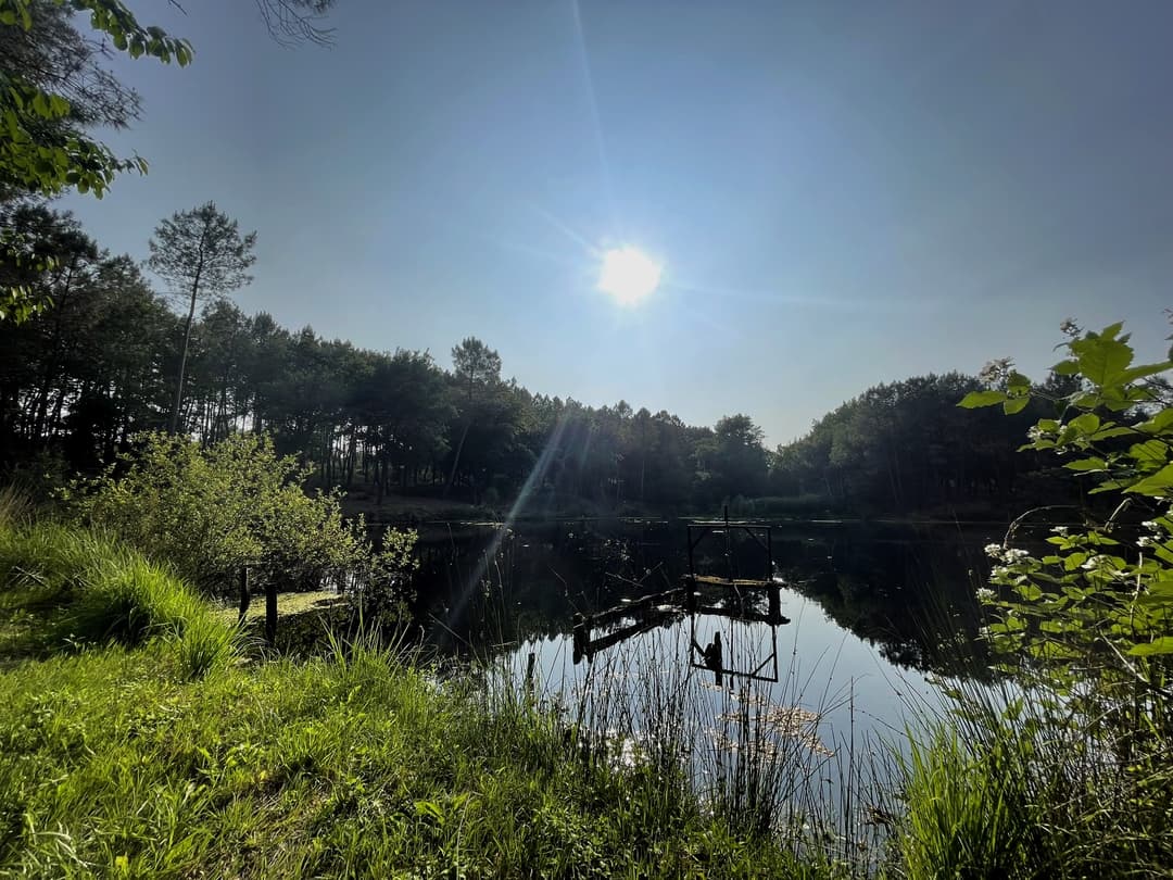 Etang tranquille au cœur d’une forêt de 30 hectares, clos.
