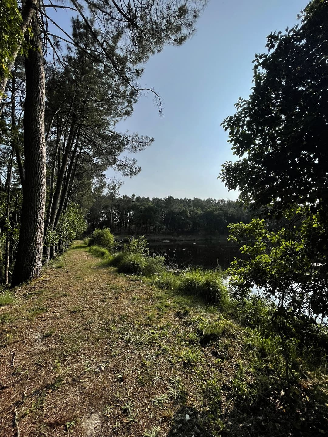 Etang tranquille au cœur d’une forêt de 30 hectares, clos.