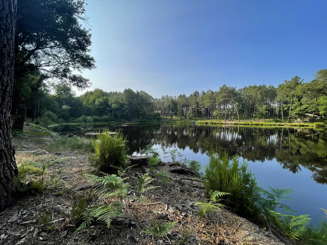 Etang tranquille au cœur d’une forêt de 30 hectares, clos.