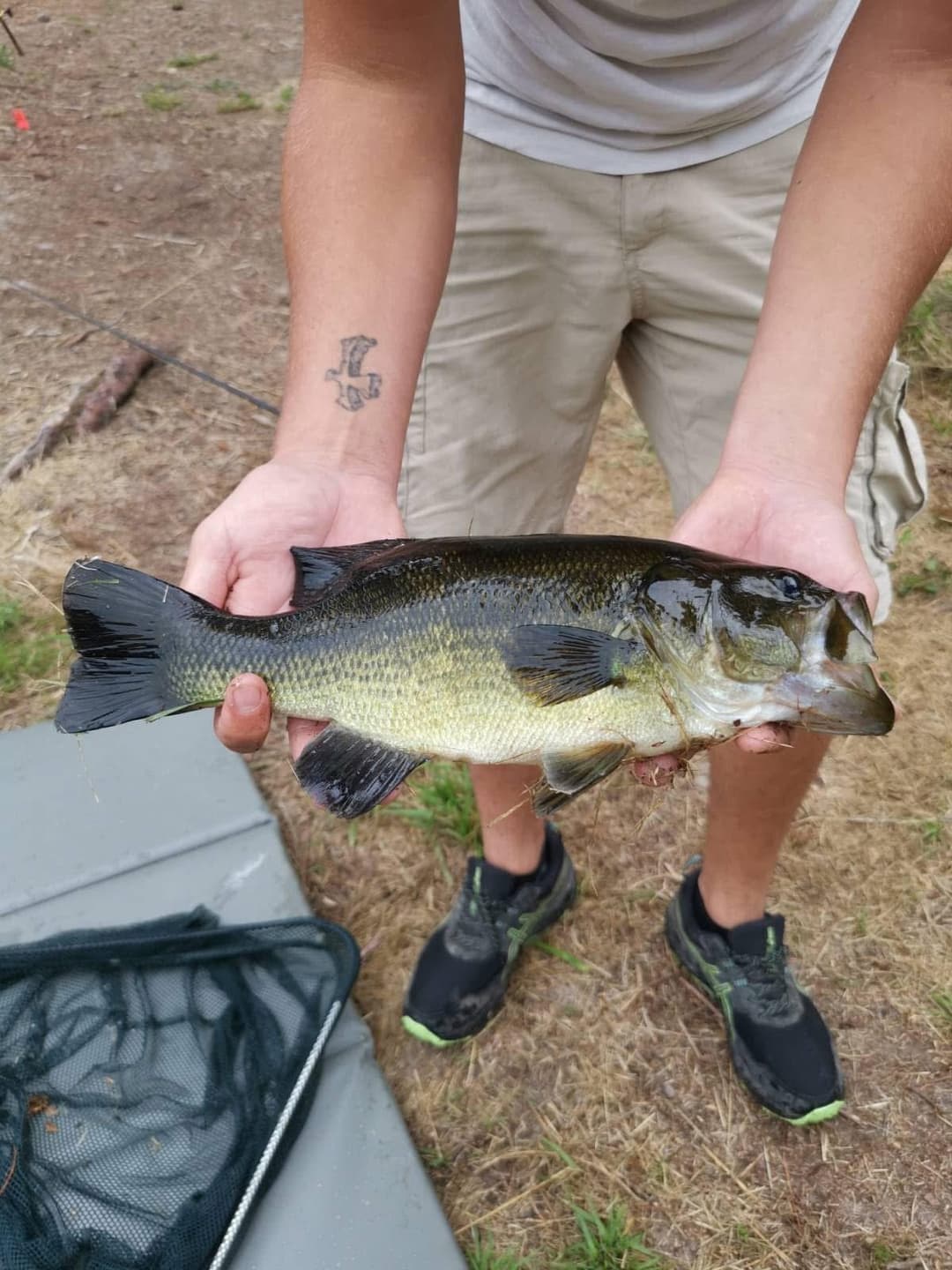 Etang tranquille au cœur d’une forêt de 30 hectares, clos.