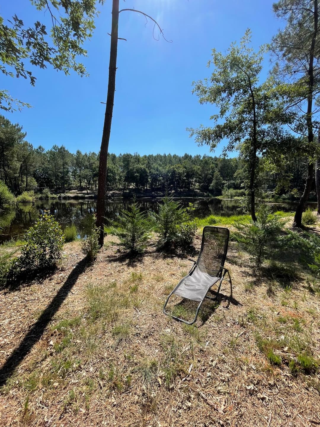 Etang tranquille au cœur d’une forêt de 30 hectares, clos.