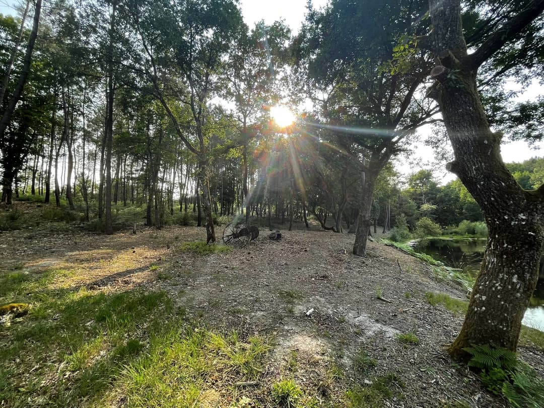 Etang tranquille au cœur d’une forêt de 30 hectares, clos.