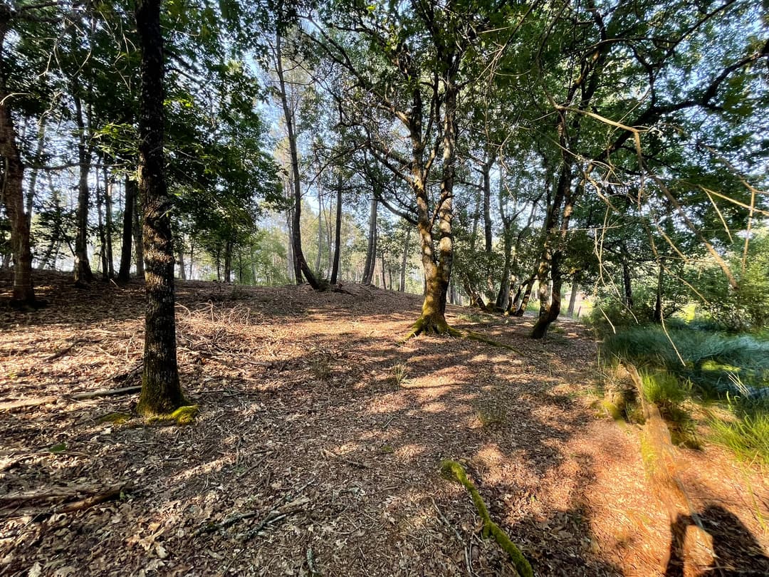 Etang tranquille au cœur d’une forêt de 30 hectares, clos.