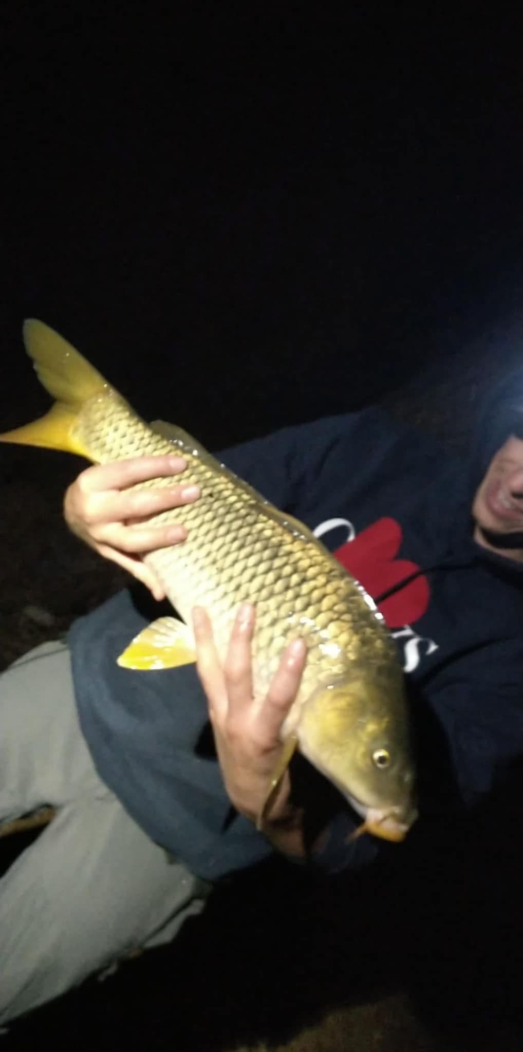 Etang tranquille au cœur d’une forêt de 30 hectares, clos.