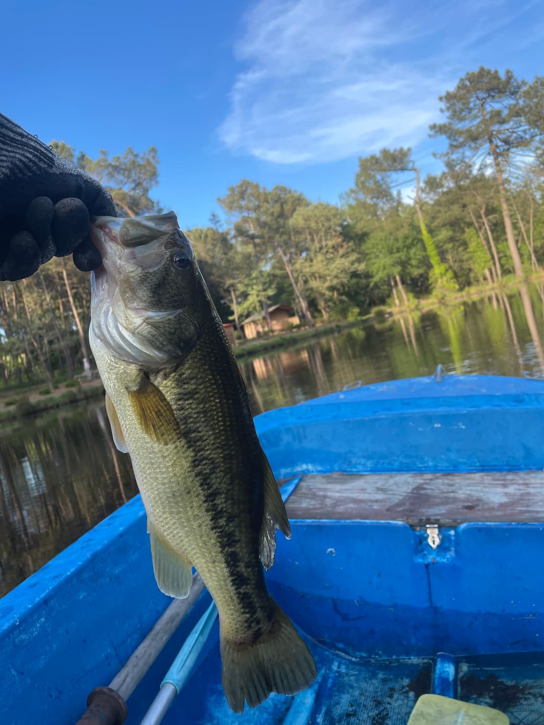 Etang tranquille au cœur d’une forêt de 30 hectares, clos.