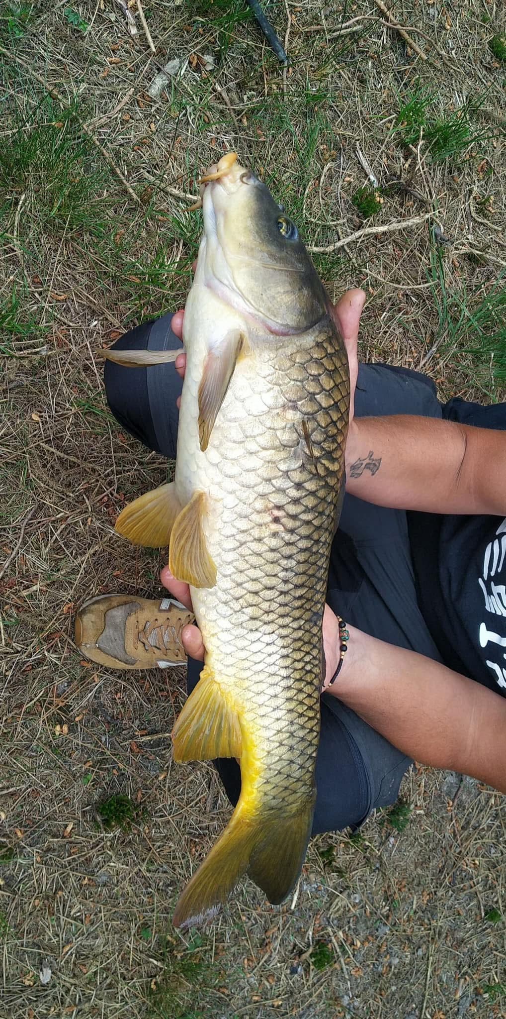 Etang tranquille au cœur d’une forêt de 30 hectares, clos.