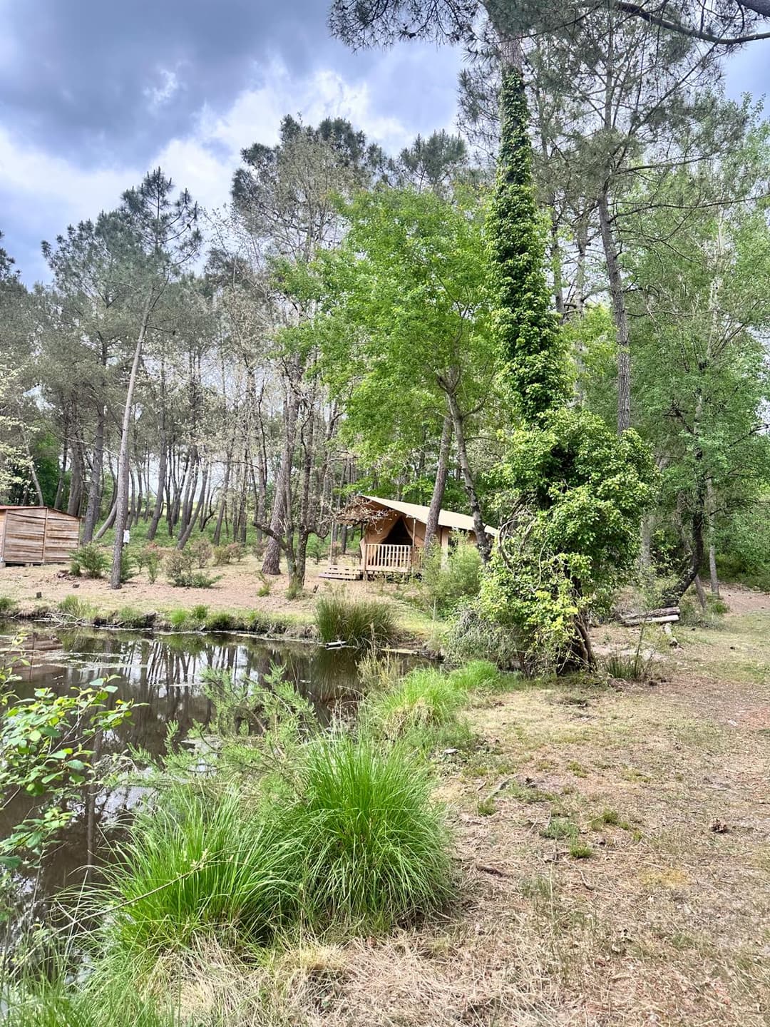 Etang tranquille au cœur d’une forêt de 30 hectares, clos.