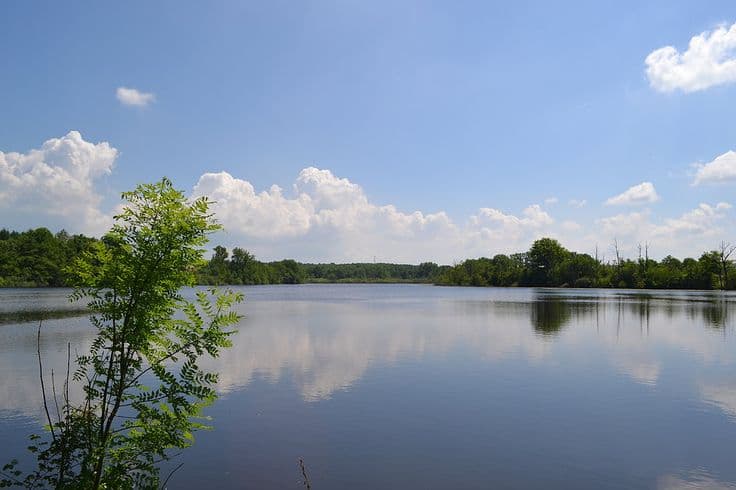 Étang de 18 ha avec gîte 4 couchages regorgeant de gros poissons 