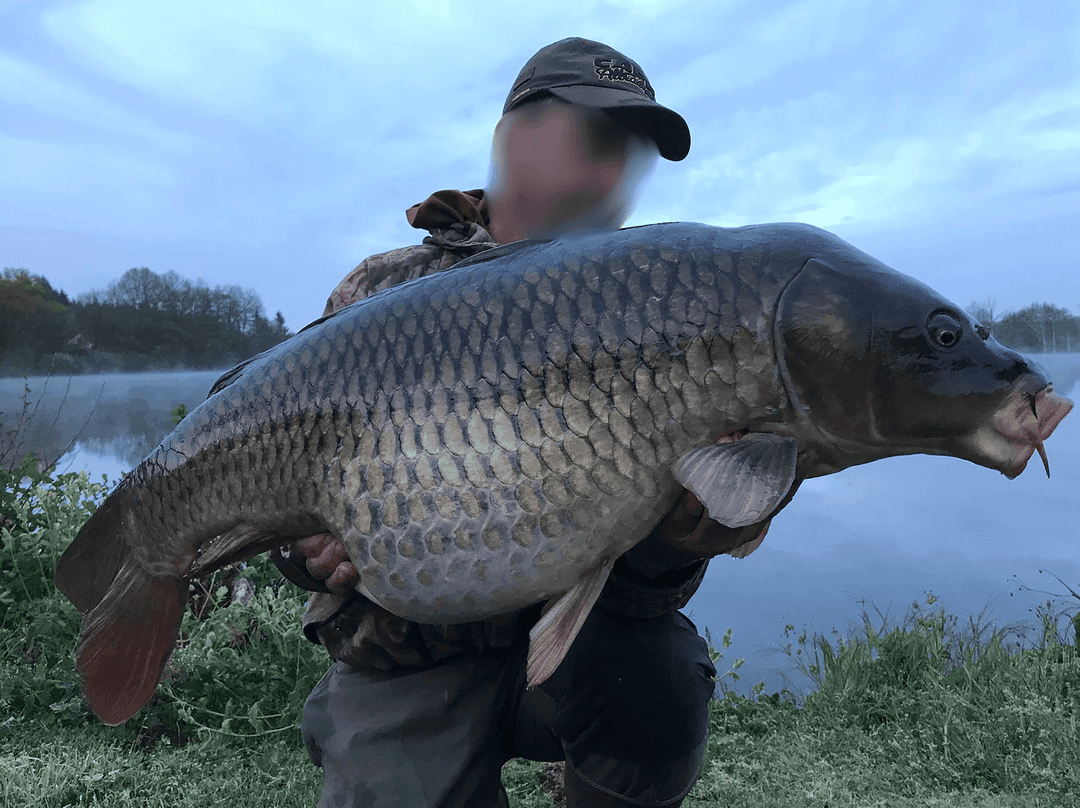 Étang de 18 ha avec gîte 4 couchages regorgeant de gros poissons 