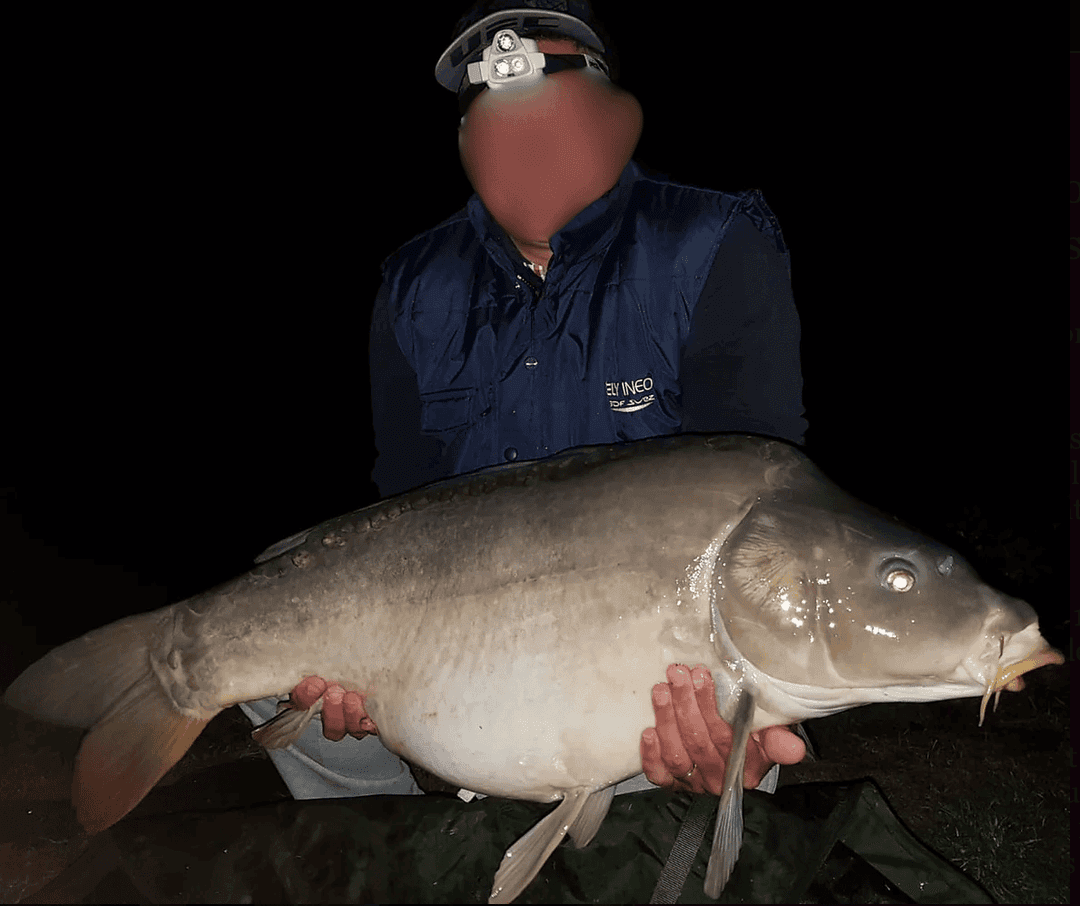 Étang de 18 ha avec gîte 4 couchages regorgeant de gros poissons 