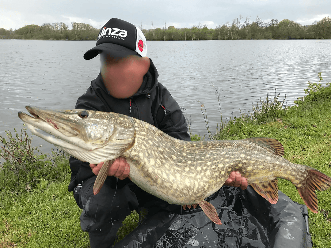Étang de 18 ha avec gîte 4 couchages regorgeant de gros poissons 