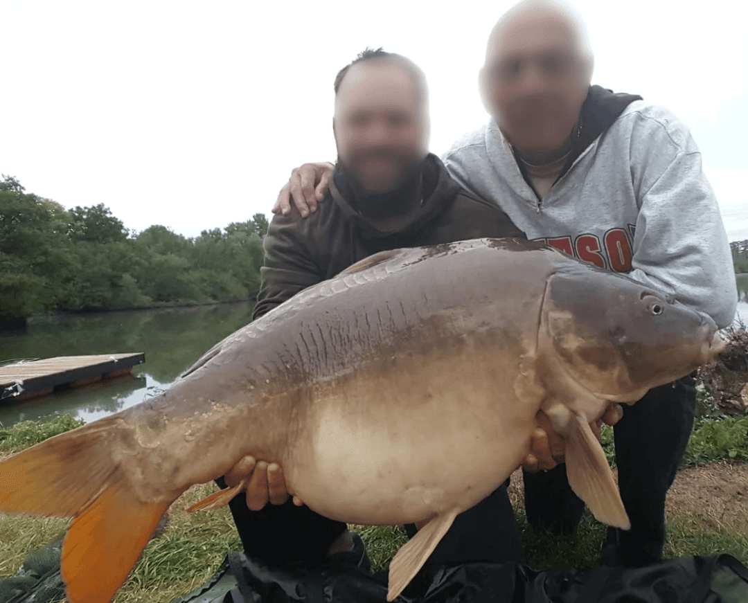 Étang de 18 ha avec gîte 4 couchages regorgeant de gros poissons 