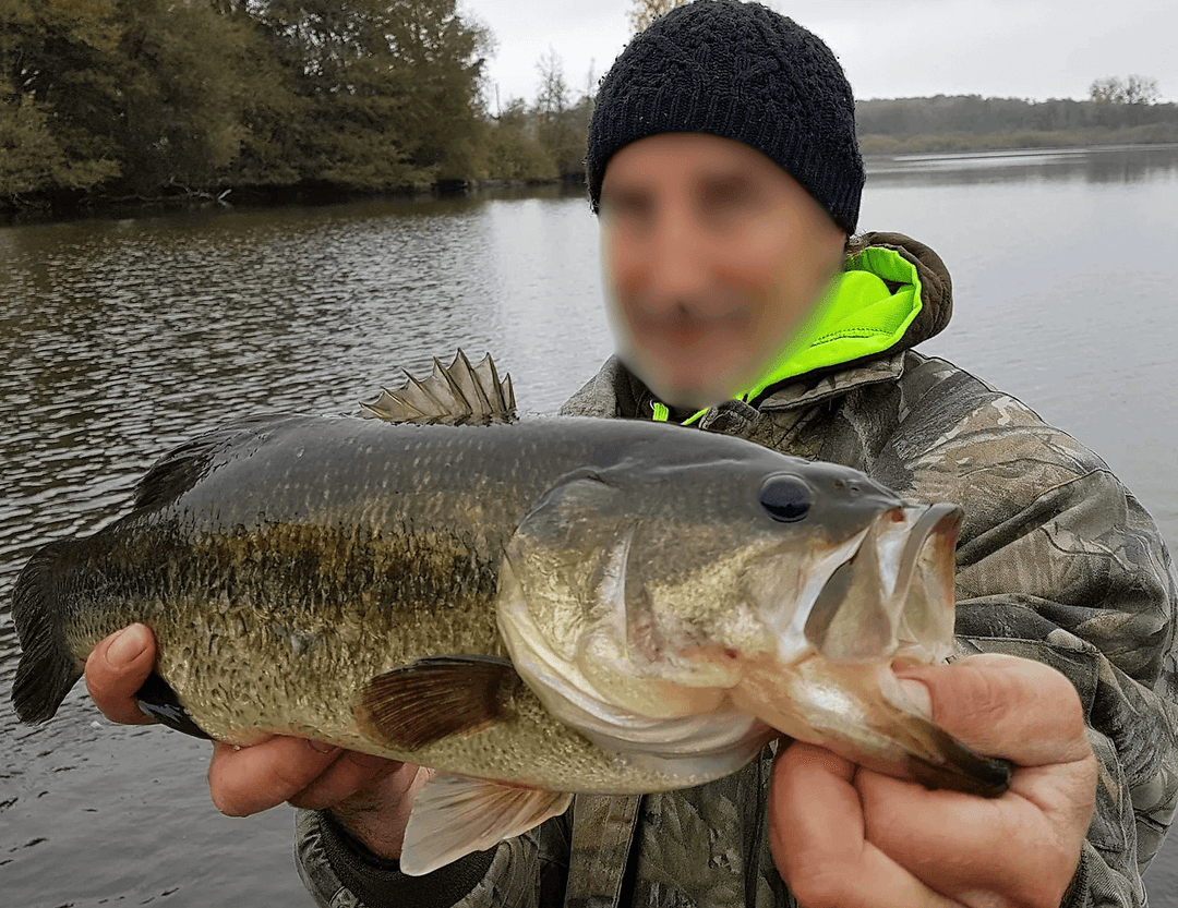Étang de 18 ha avec gîte 4 couchages regorgeant de gros poissons 