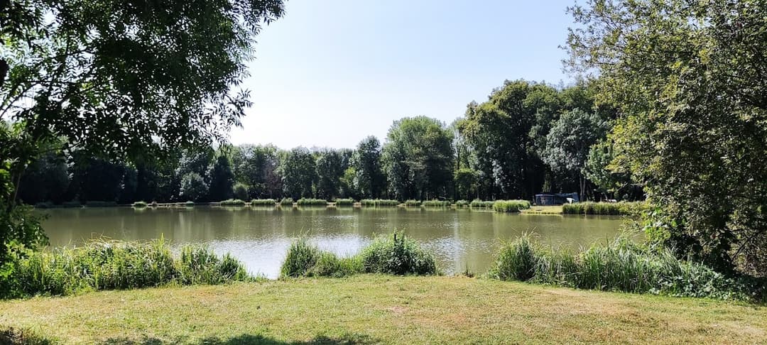 Chalets au bord d’un étangs au cœur du périgord 