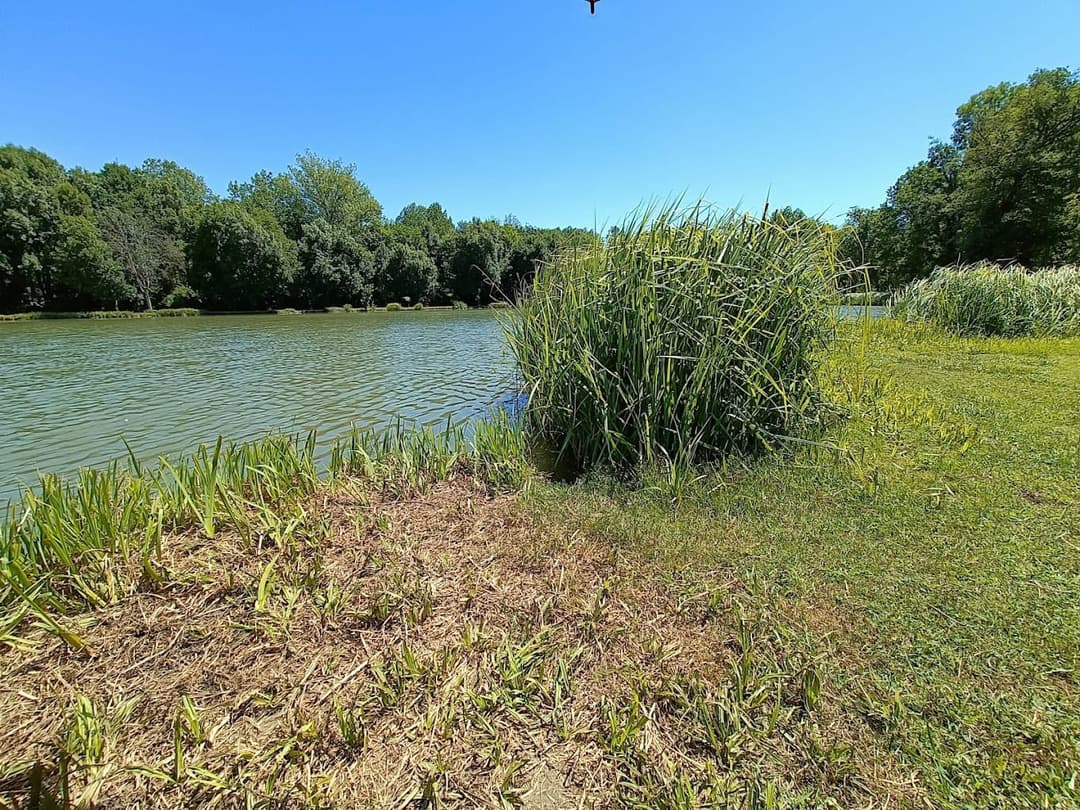 Chalets au bord d’un étangs au cœur du périgord 