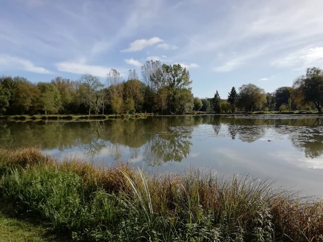 Chalets au bord d’un étangs au cœur du périgord 