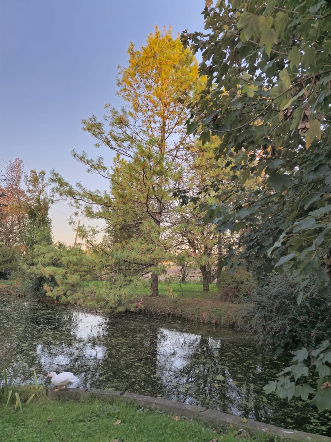 Îlot paisible, camping bivouac et pêche 