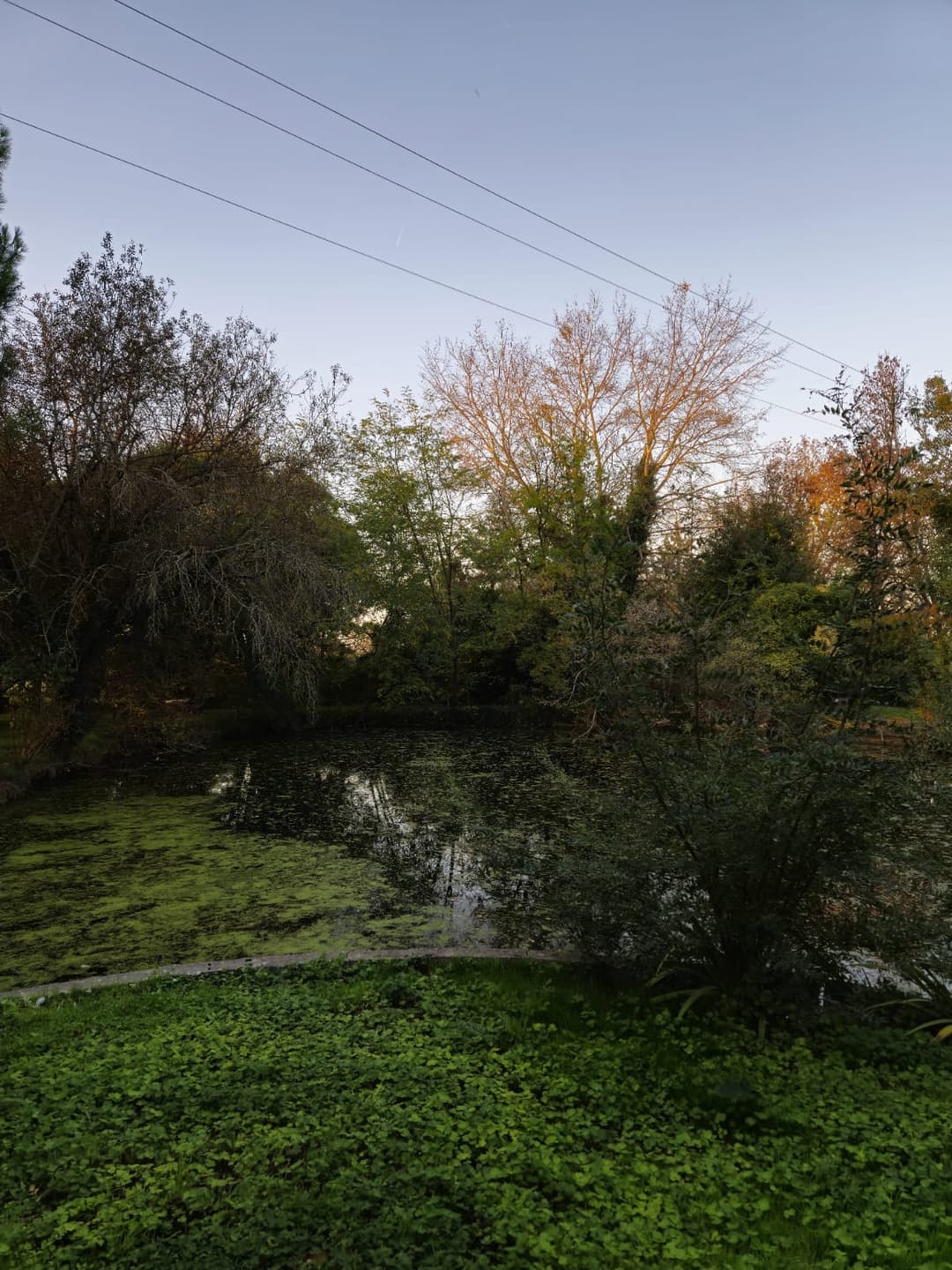 Îlot paisible, camping bivouac et pêche 