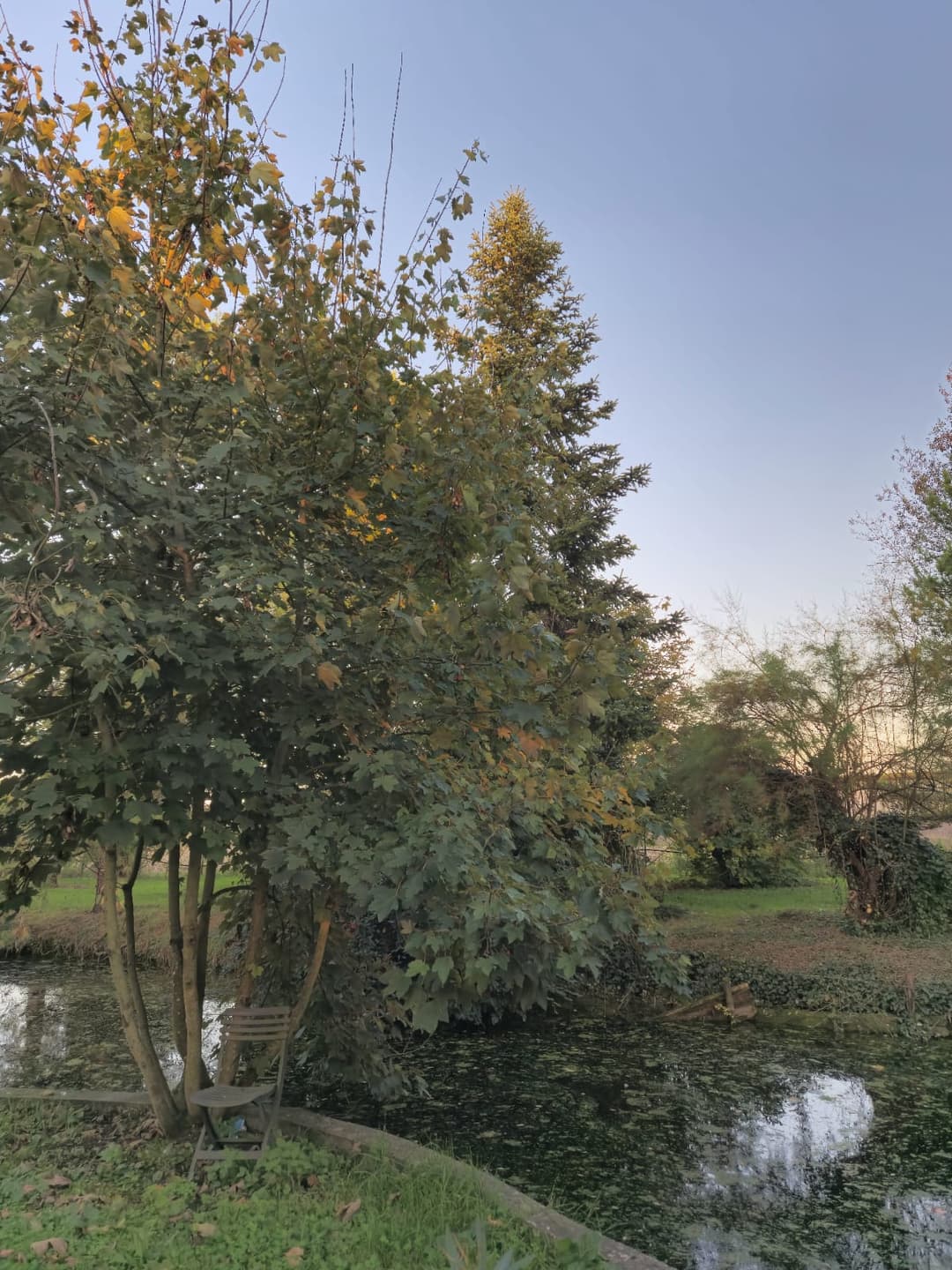 Îlot paisible, camping bivouac et pêche 