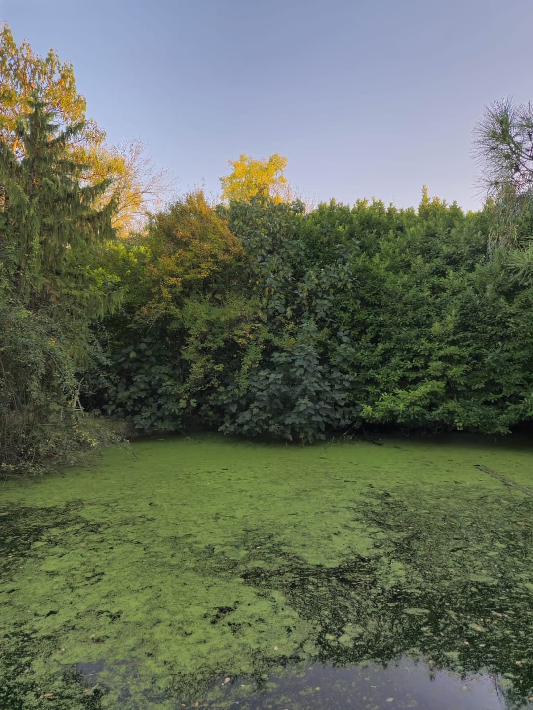 Îlot paisible, camping bivouac et pêche 