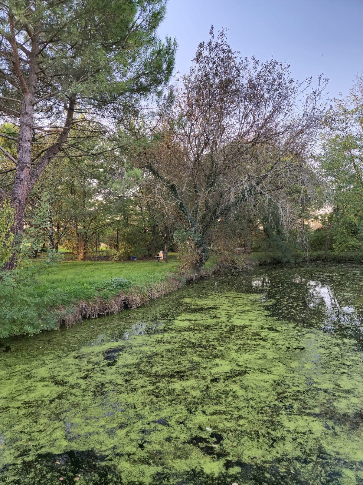 Îlot paisible, camping bivouac et pêche 