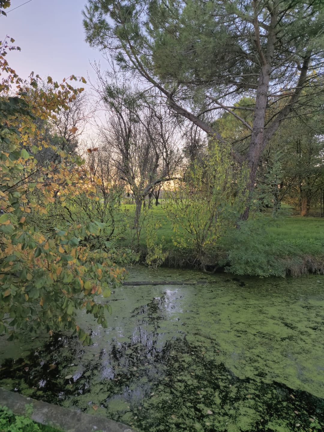 Îlot paisible, camping bivouac et pêche 