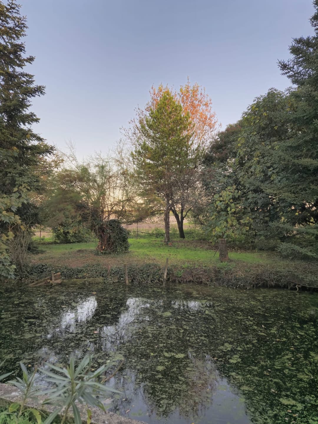 Îlot paisible, camping bivouac et pêche 