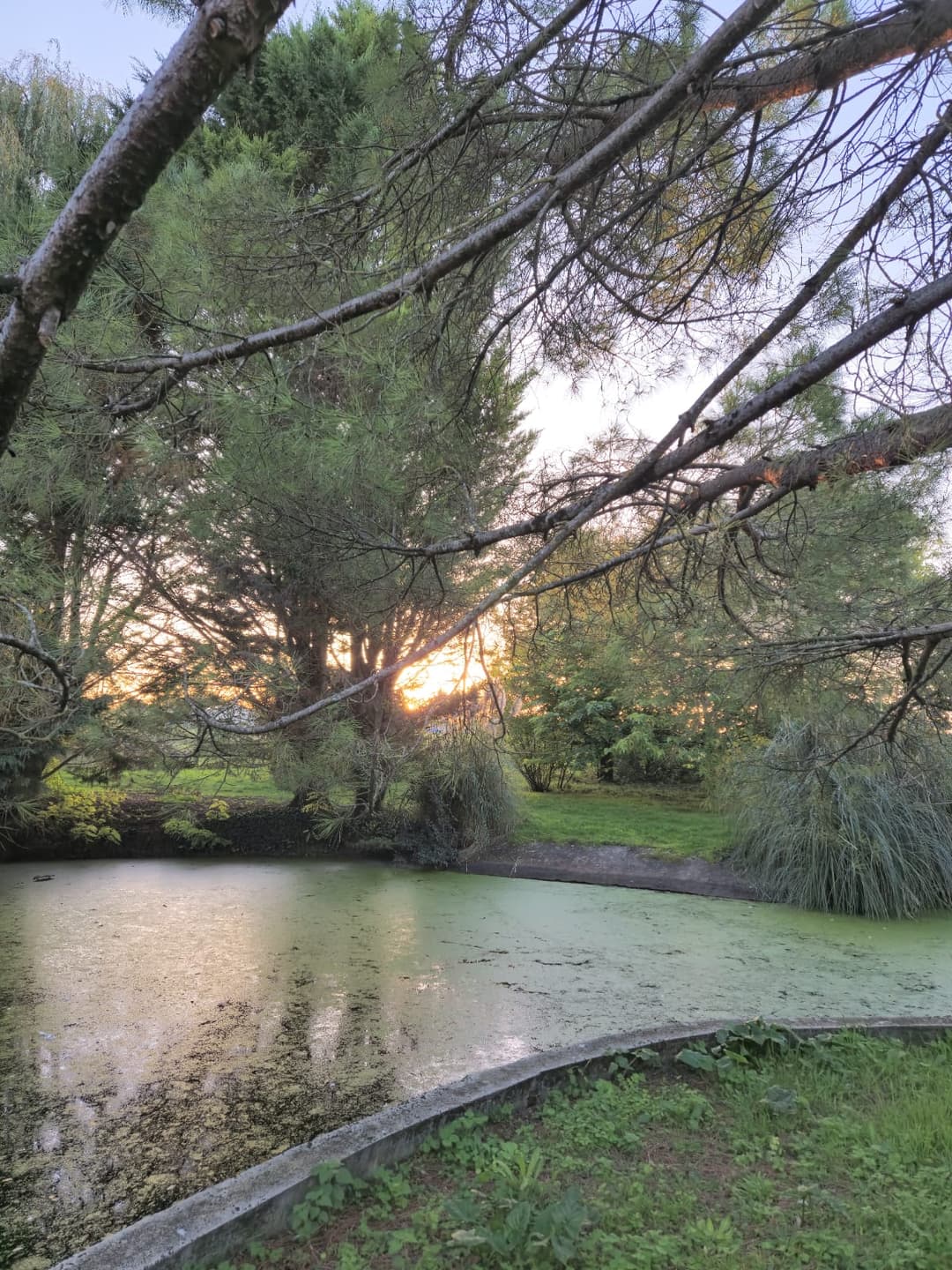 Îlot paisible, camping bivouac et pêche 