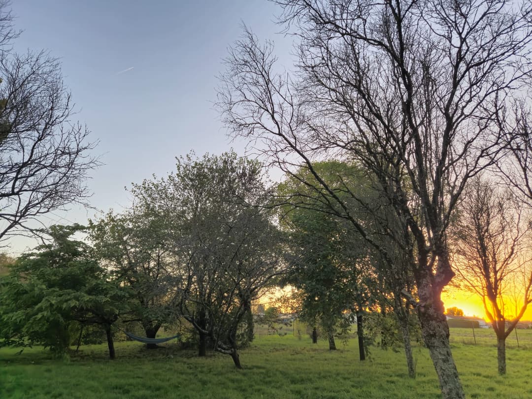 Îlot paisible, camping bivouac et pêche 