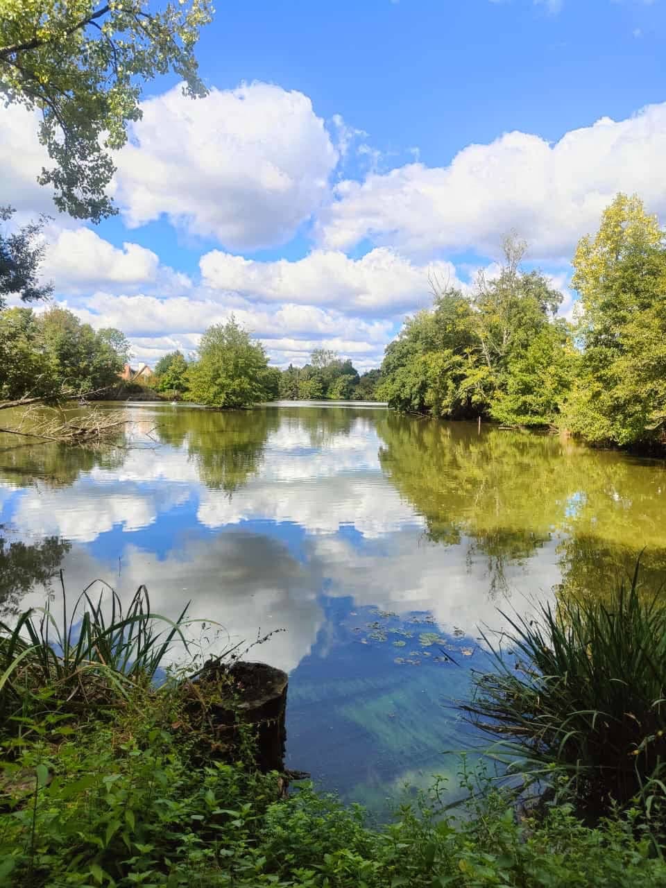 Bungalow 2 tout confort avec étang privé de 3 ha et accès jacuzzi 