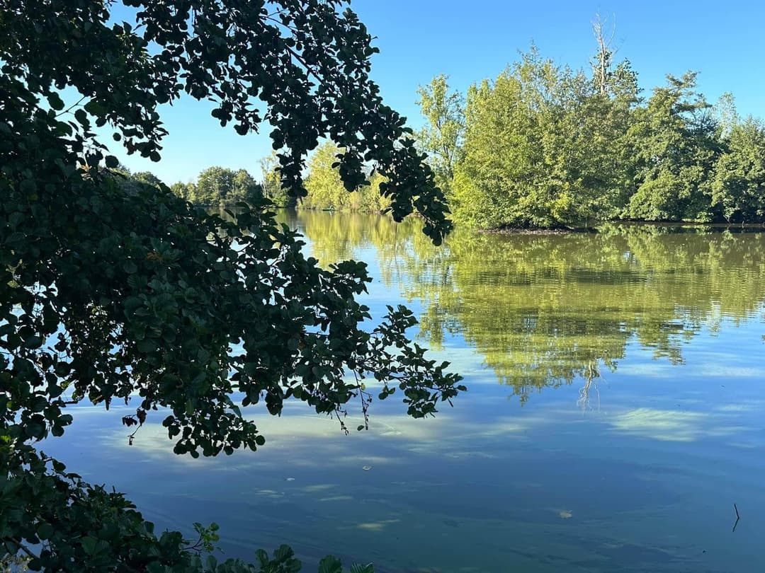 Bungalow 1 tout équipé avec étang de 3ha à deux pas de la ville 