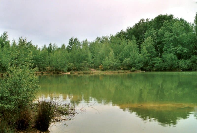 Privatisation d’un étang de 2.5ha avec un chalet 
