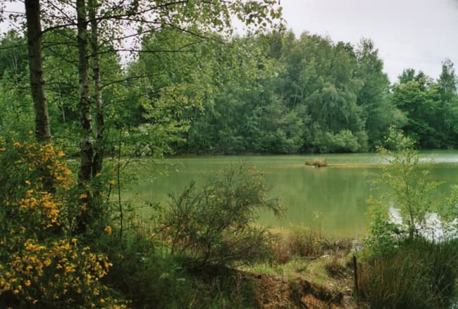 Privatisation d’un étang de 2.5ha avec un chalet 