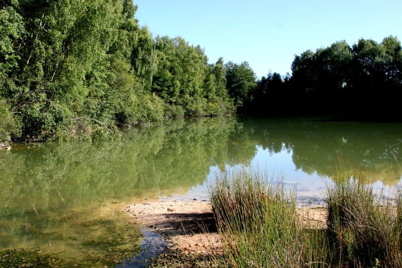 Privatisation d’un étang de 2.5ha avec un chalet 