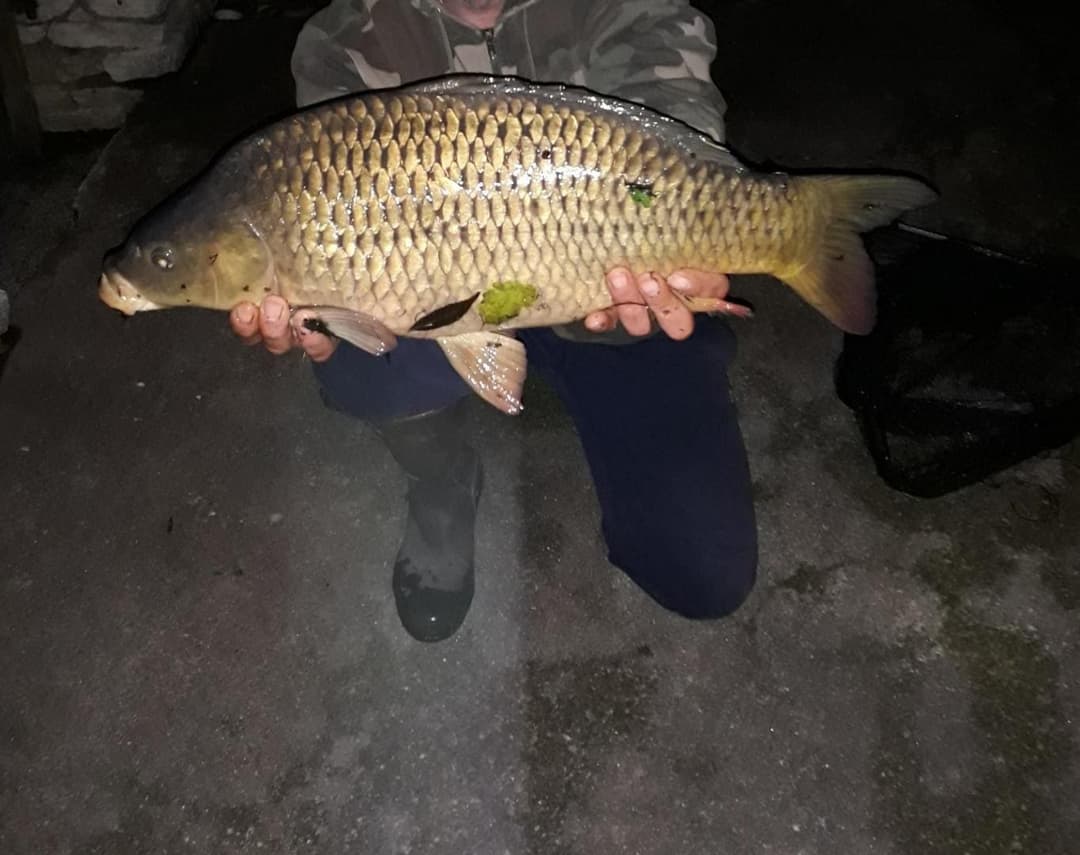 Gîte tout confort au bord de la rivière Thouet 