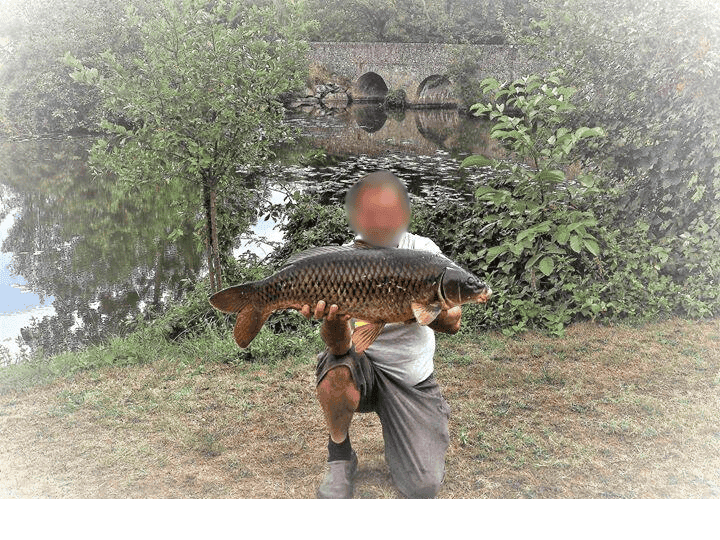 Gîte tout confort au bord de la rivière Thouet 