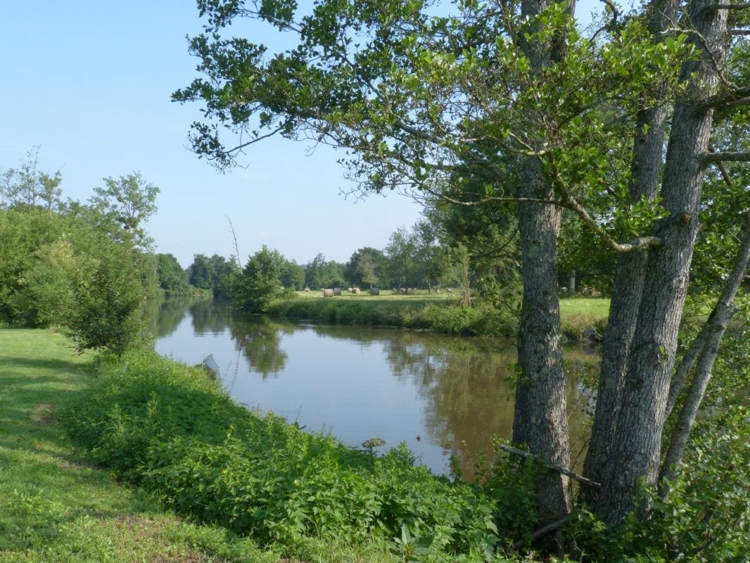Gîte tout confort au bord de la rivière Thouet 