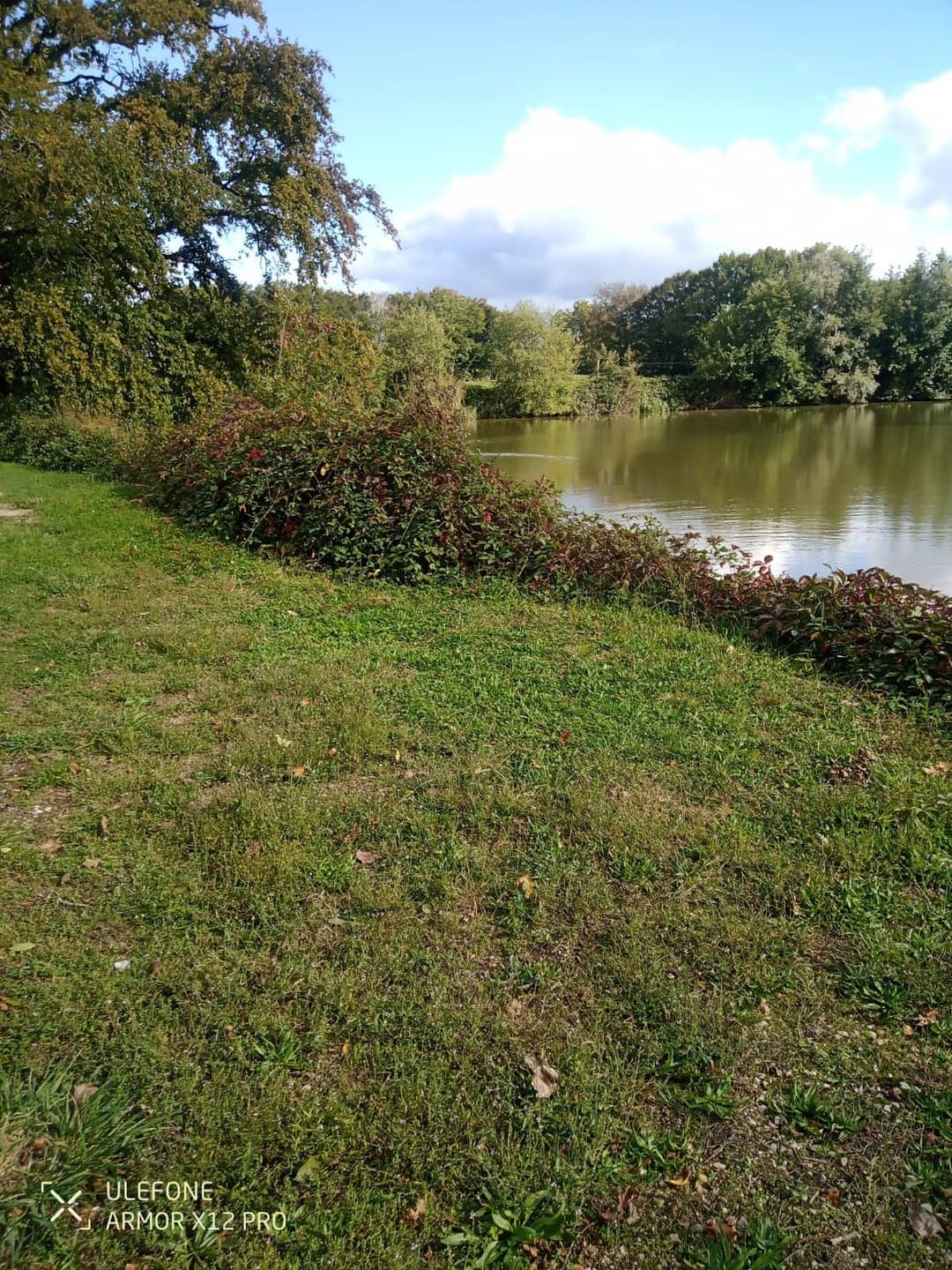 Etang de 2.5ha avec son mobil home en Saône-et-Loire 